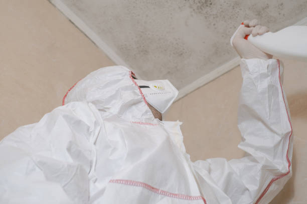 Best Certified Mold Removal  in Kenton, OH